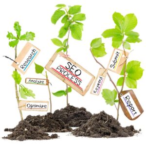 Building SEO | Organic Search | Breakroom Marketing